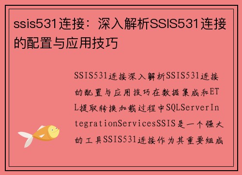 ssis531连接：深入解析SSIS531连接的配置与应用技巧